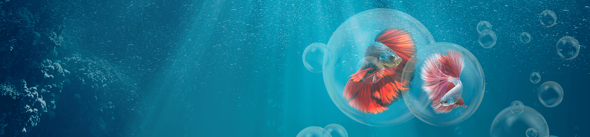 Оформление и запуск пресноводных аквариумовГарантия качества! Индивидуальный подход!
Наши работы Оформление и запуск пресноводных аквариумовГарантия качества! Индивидуальный подход!
Наши работы