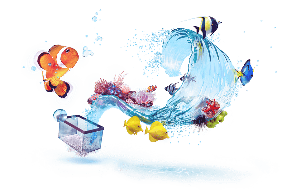 dc6217a382fb7b57723441b4df4f3846-min